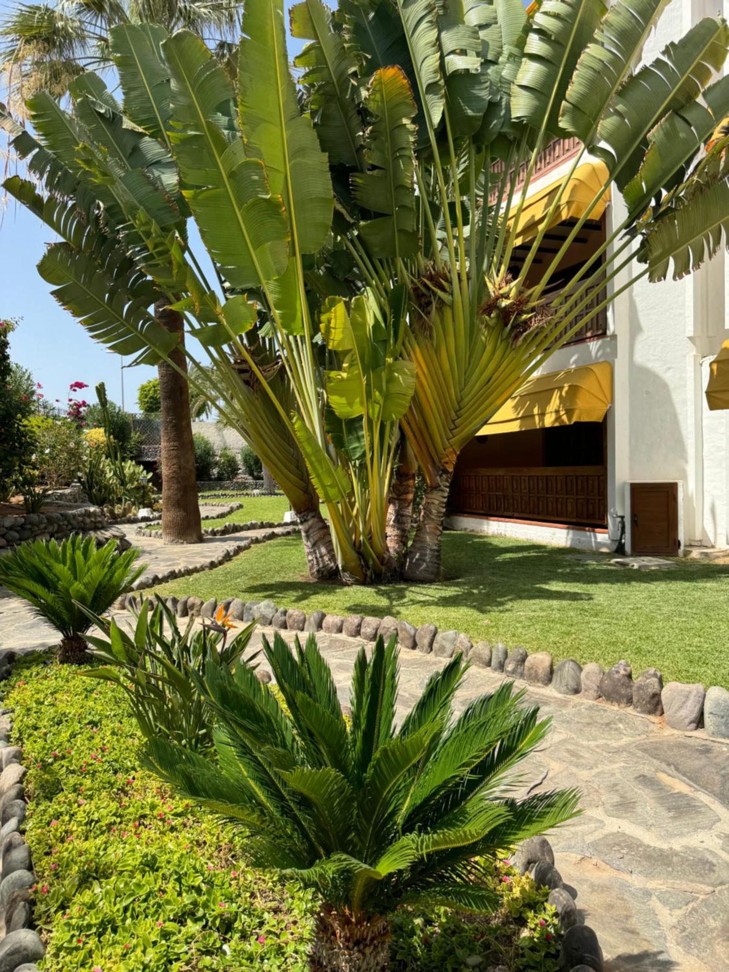 Canario Dunes Playa del Inglés